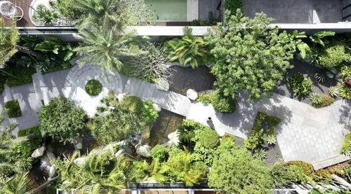 富豪群體,正在搶入三亞資產(chǎn)