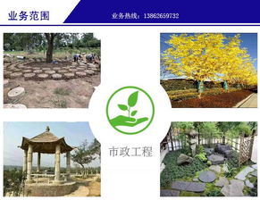 綠化 金碧園綠化 園林設(shè)計綠化